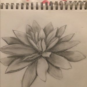 Trades and offers accepted!!!